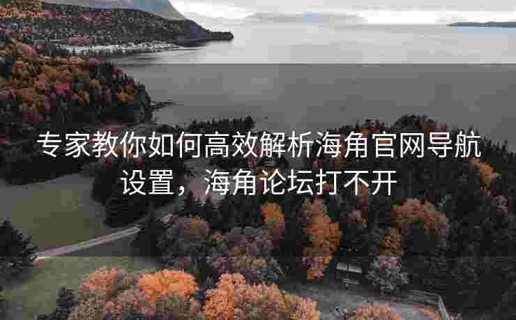 专家教你如何高效解析海角官网导航设置，海角论坛打不开